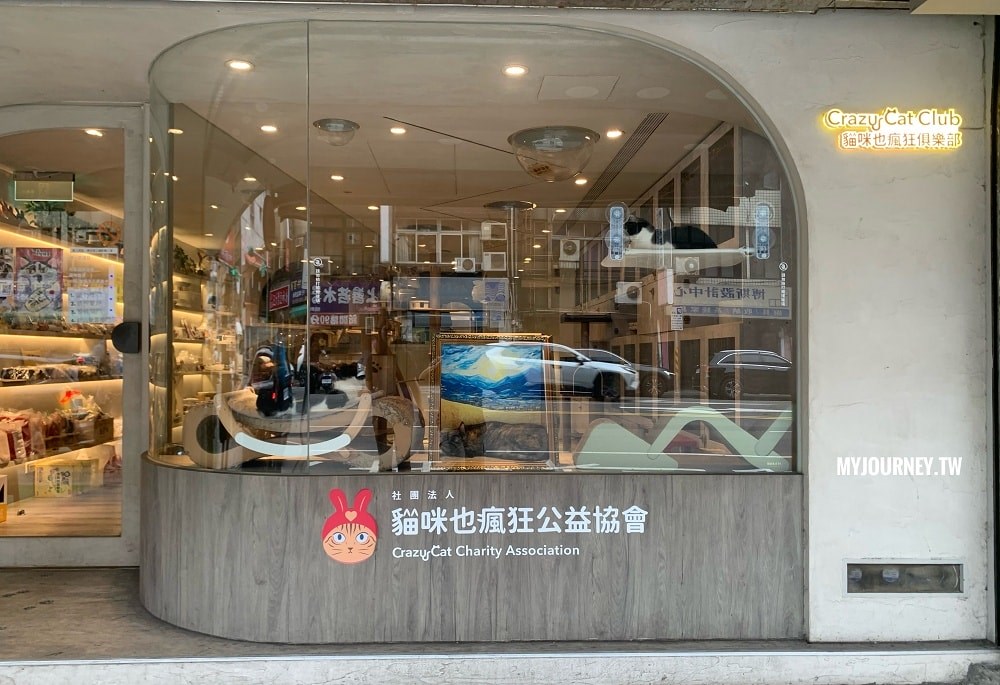 台北最暖「擼貓」秘境！免限時無低消，在「貓咪也瘋狂公益協會」遇見幸福